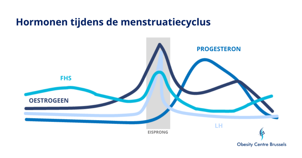 Grafiek over de hormonen tijdens de menstruatie